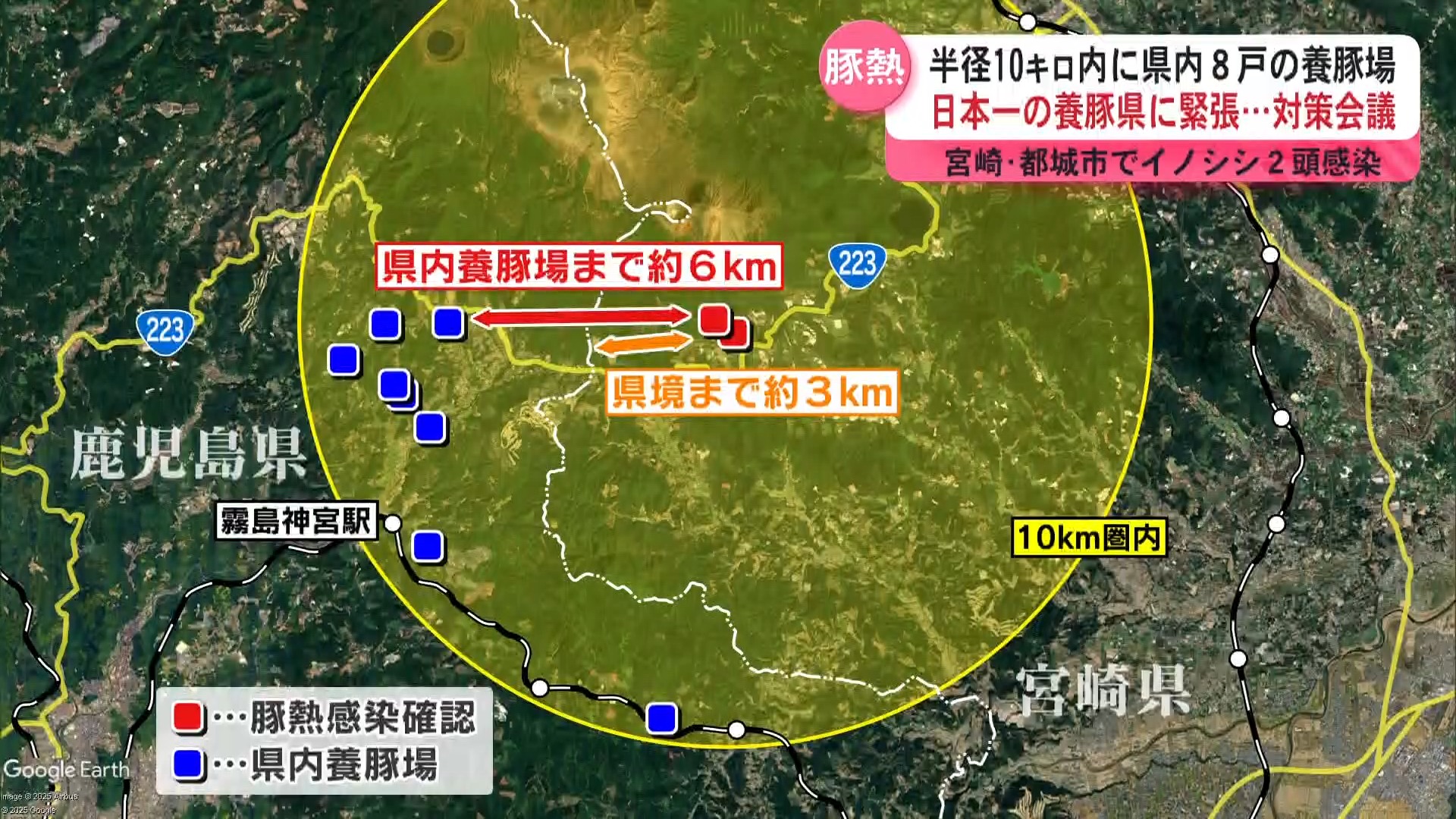 宮崎県境近くで野生イノシシが豚熱感染 県が対策本部会議 養豚場での対策徹底 ワクチン散布へ協議