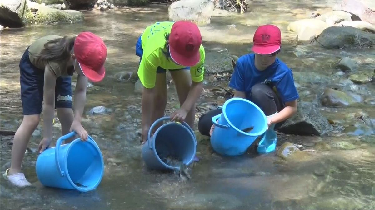 小学生が稚アユ約1500匹を放流　児童「元気に泳いでいった」　志布志市の前川