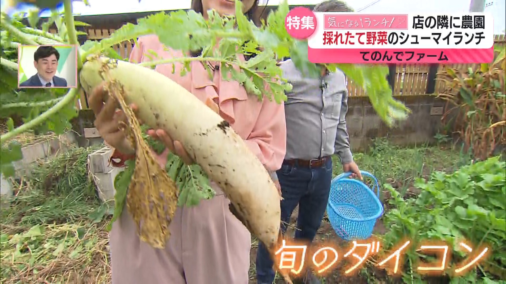 【気になるランチ】採れたて野菜が主役！畑直送の野菜ランチとヘルシー定食を紹介
