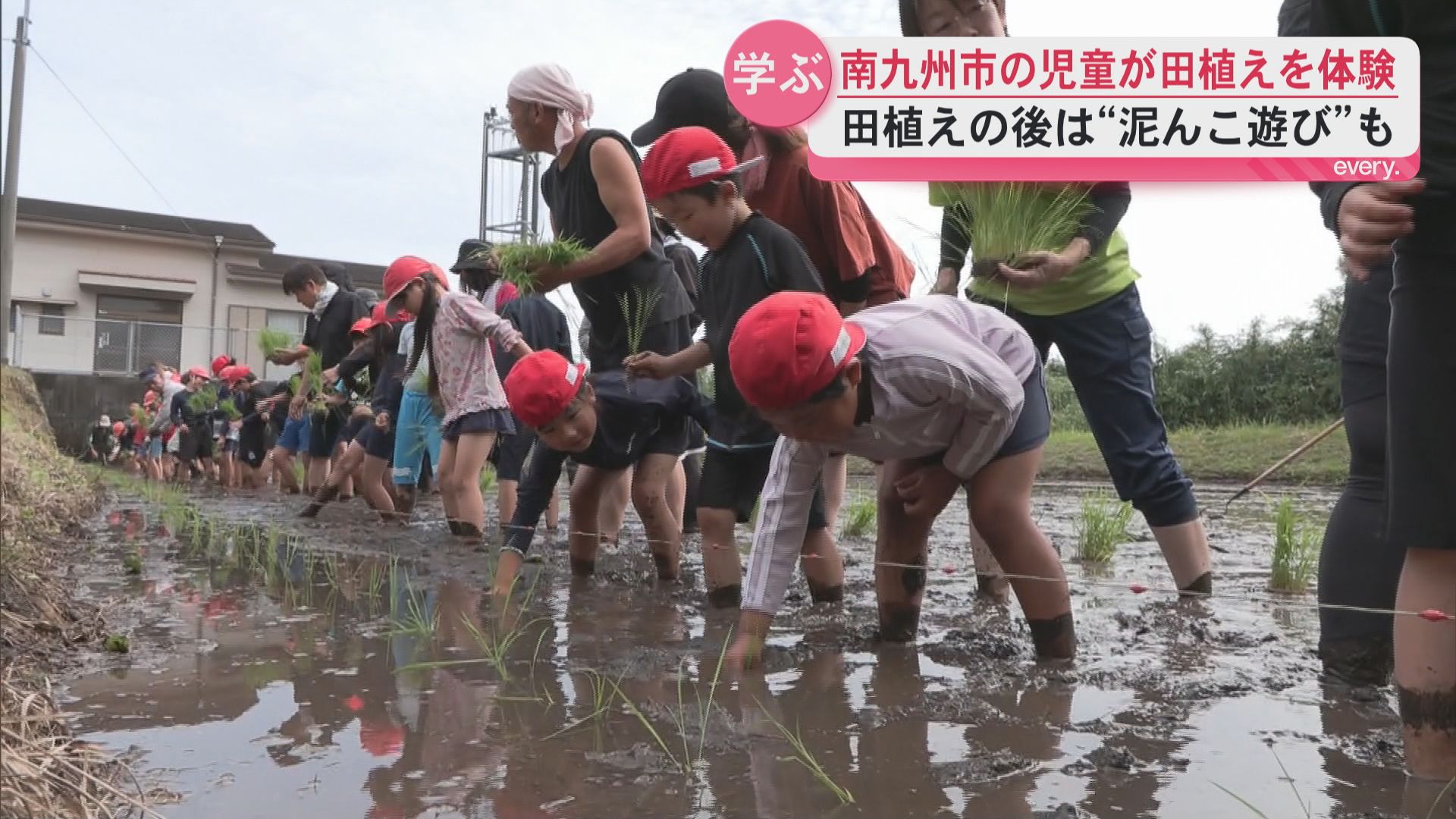 「やってみるととても大変」　南九州市で小学生が田植え体験　地域の人とコメ作り学ぶ