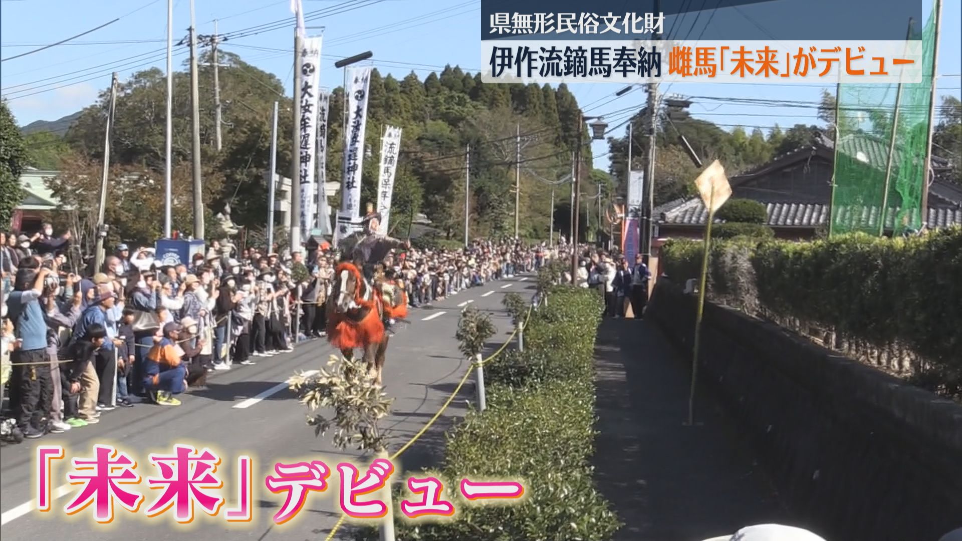 雌馬「未来」がデビュー　県無形民俗文化財「伊作流鏑馬」が奉納　400年以上続く伝統行事　日置市大汝牟遅神社