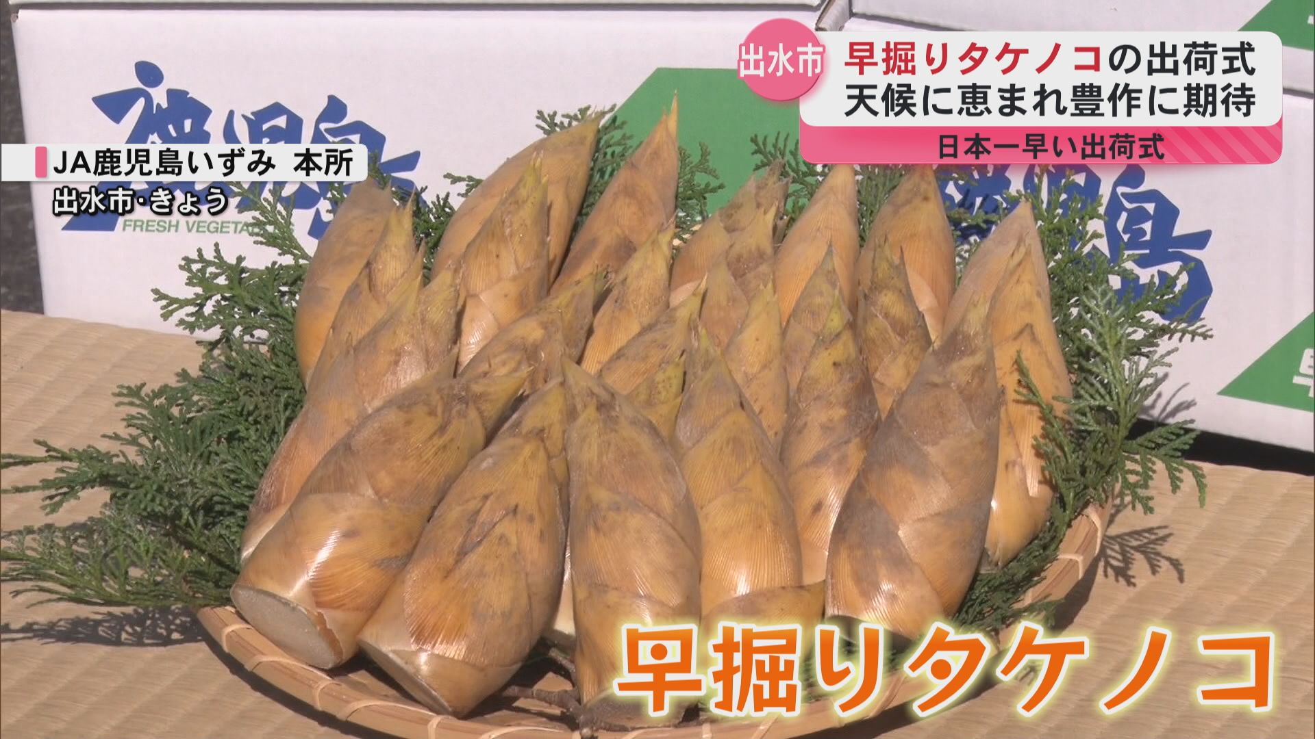 全国で最も早い！「早掘りタケノコ」出荷式 約50トンを全国各地に出荷