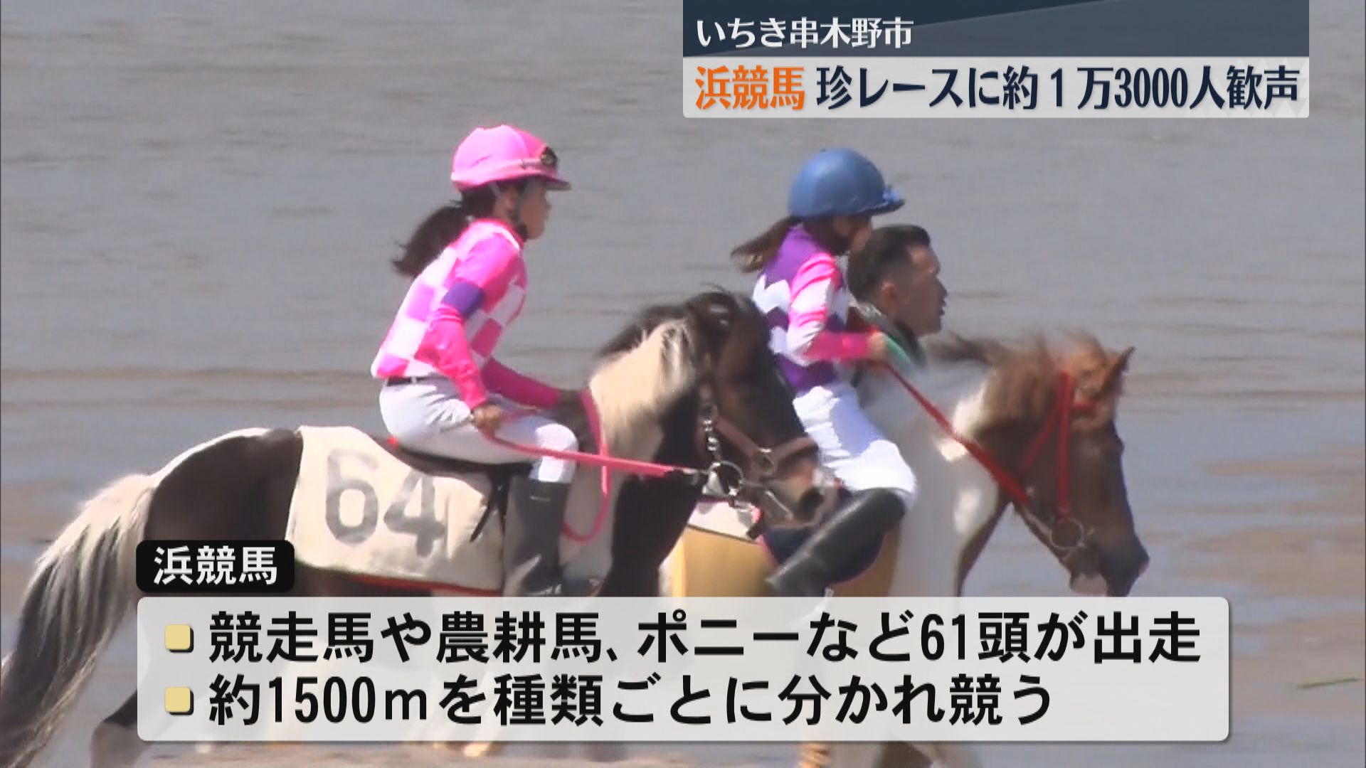 コースは砂浜!逆走など珍レース続出 いちき串木野市で恒例の「浜競馬」約1万3000人が歓声