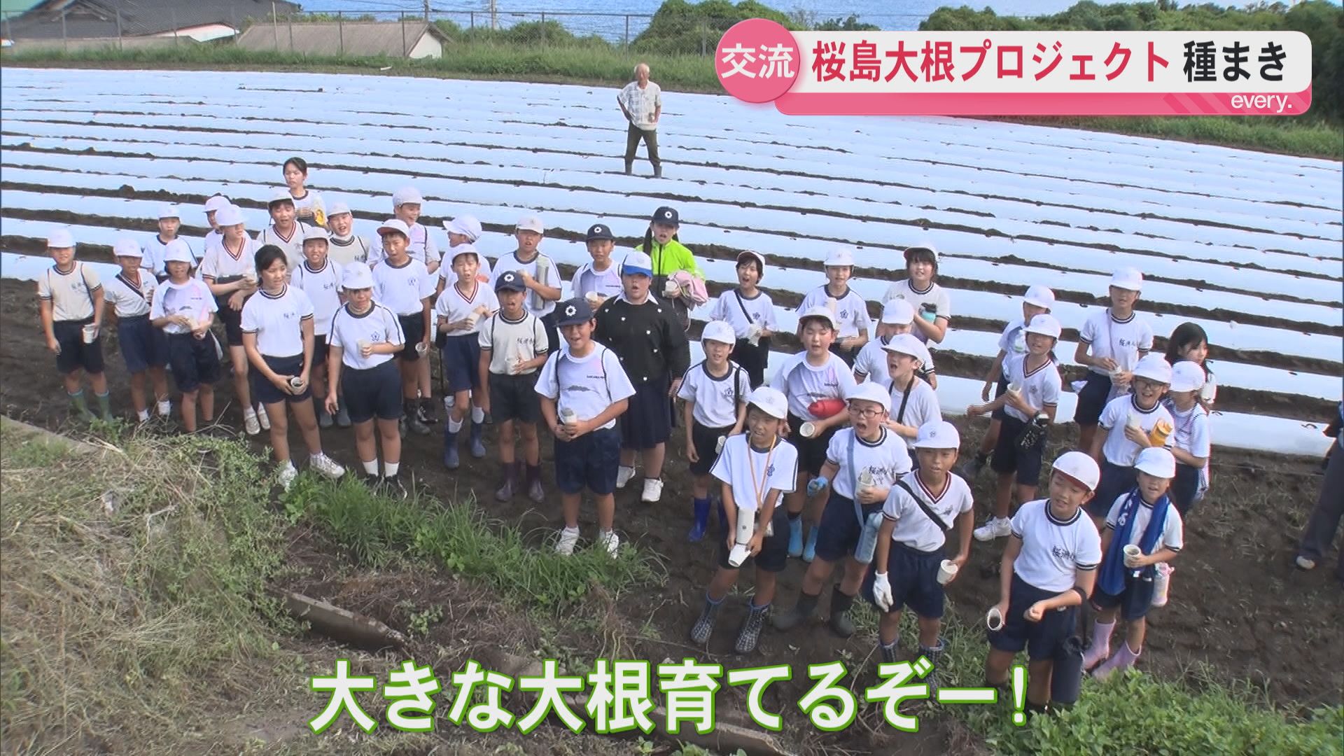 桜島大根プロジェクト　いよいよ種まき　桜島と東京・渋谷の小学生が交流