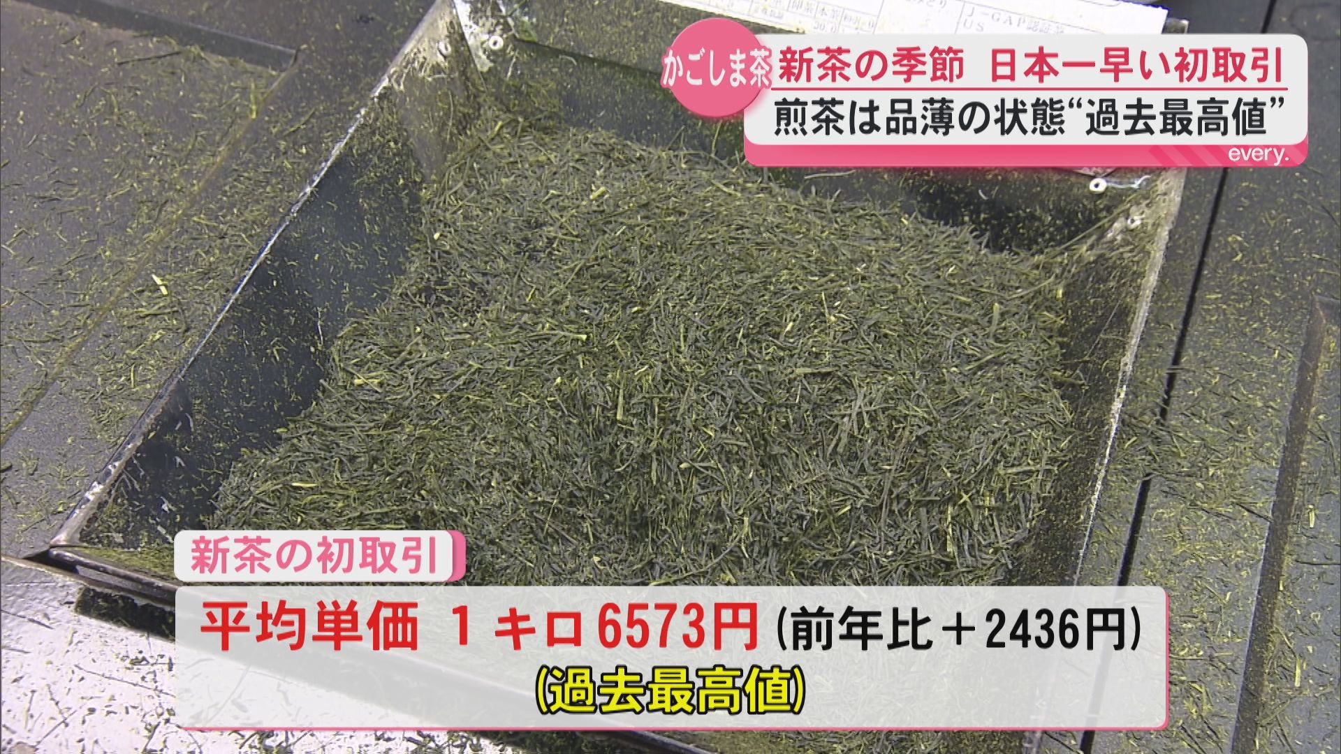 日本一早い新茶の初取引　生産量2年連続日本一のかごしま茶平均価格は1キロ6573円と過去最高値を記録