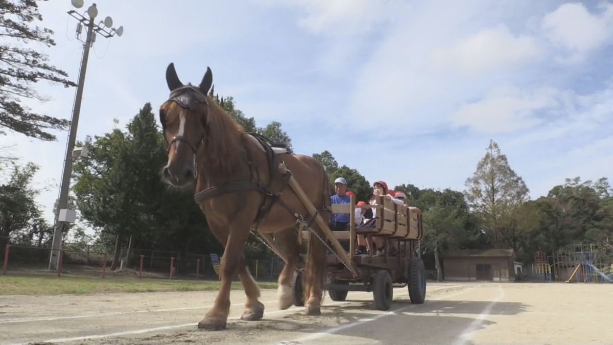 子どもたちが馬車体験「がったんがったん揺れた」初めての経験に子どもたち大喜び