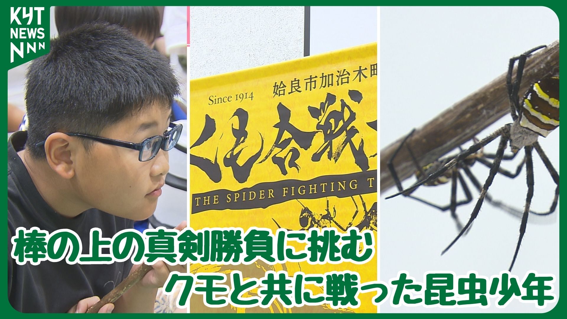 加治木くも合戦「情を持って戦ってくれる」願い届く一勝――小学生がつかんだ“勝利と悔しさ”