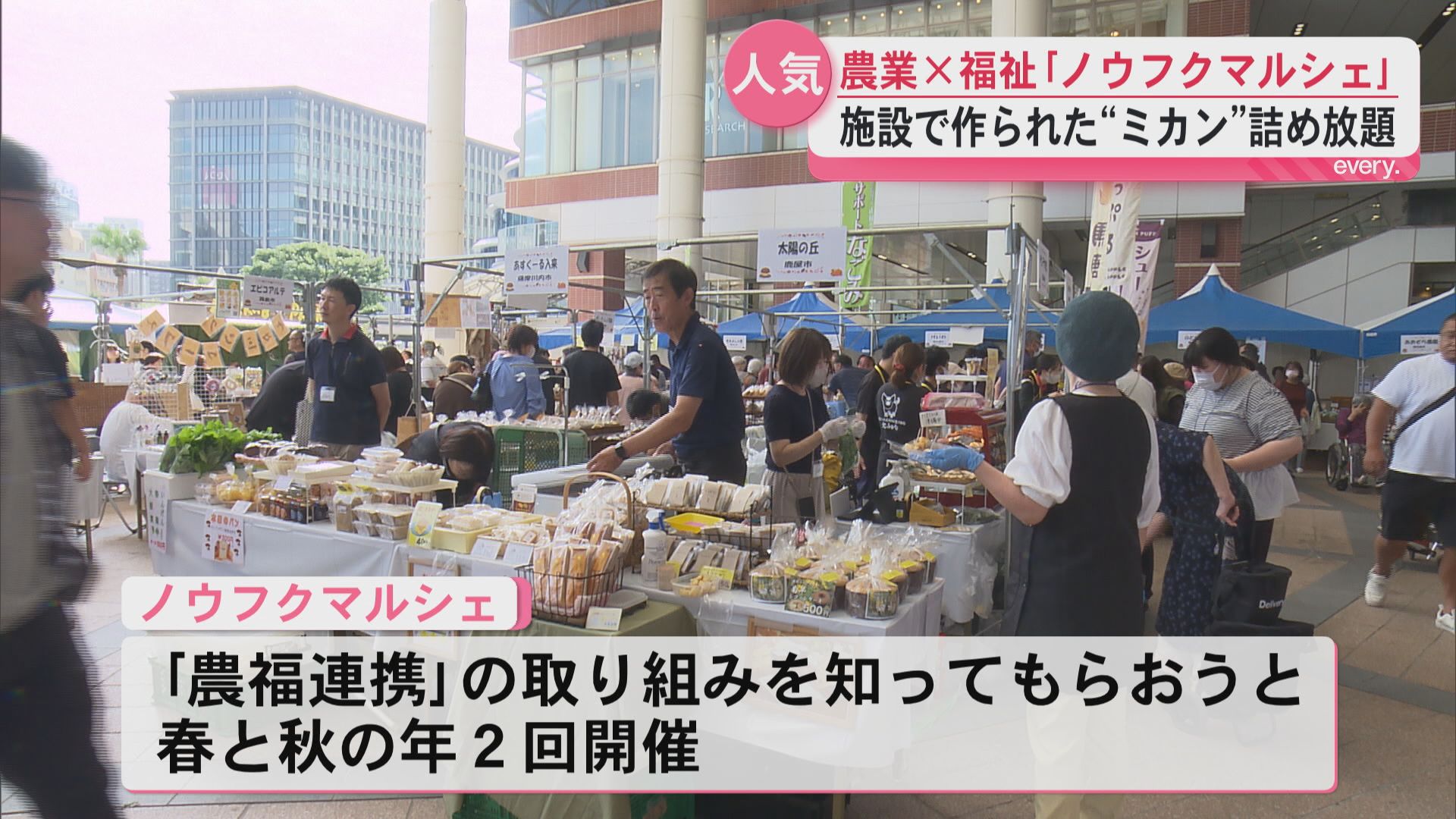 農業と福祉が連携した「ノウフクマルシェ」　県内45の障害者福祉施設などが参加　ミカンの詰め放題が人気