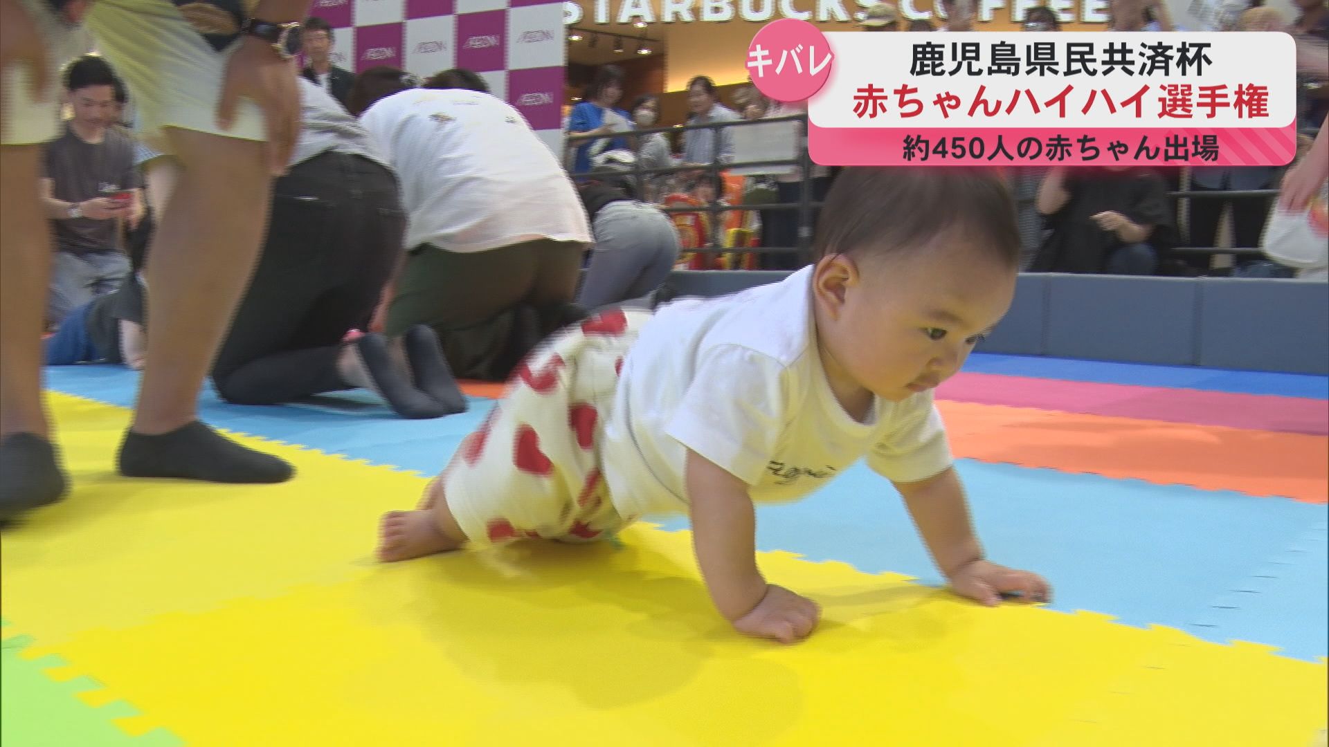 KYT赤ちゃんハイハイ選手権   　約450人の赤ちゃん参加
