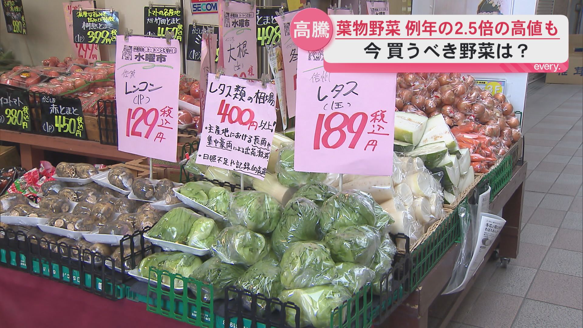 「例年の2～2.5倍」鍋に欠かせない葉物野菜の高騰続く　一方いま安く買える野菜は？