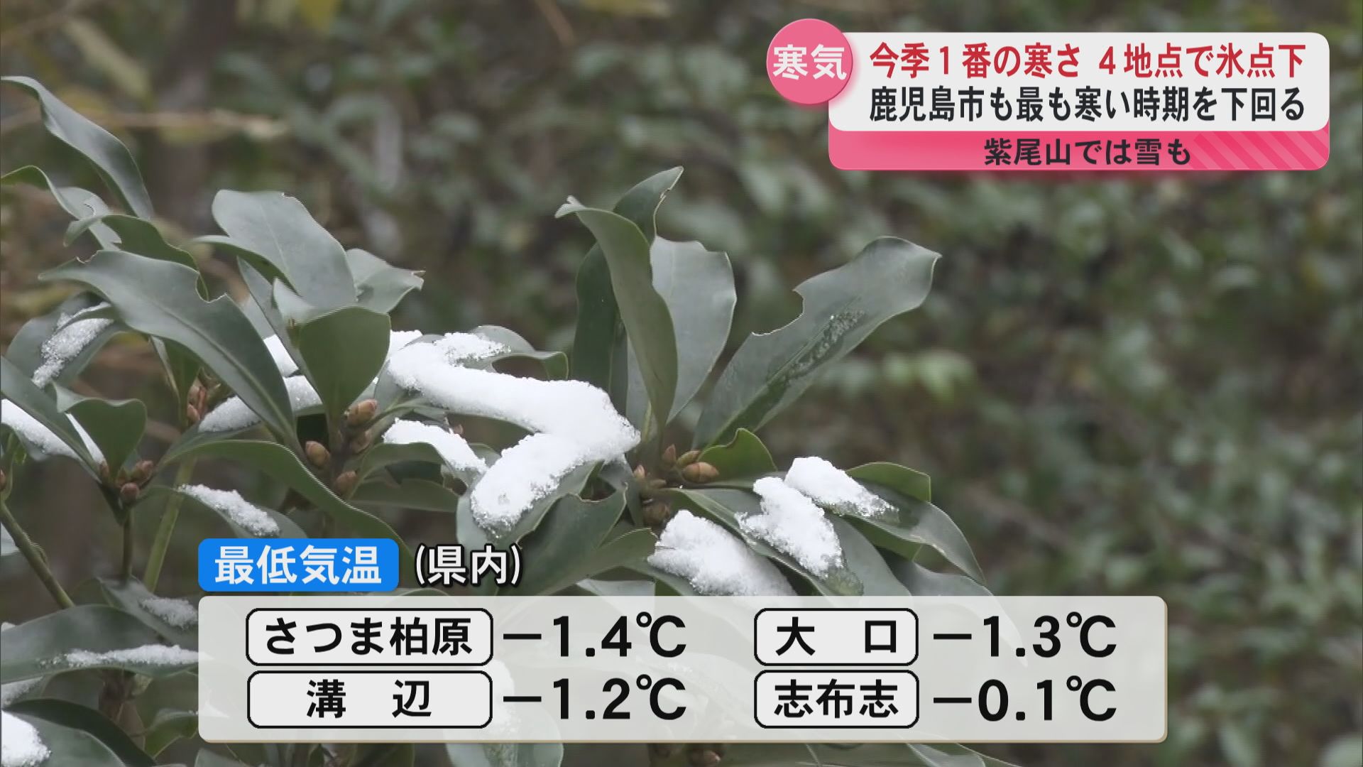 県内23地点で今季一番の冷え込み　4地点では氷点下を観測　紫尾山では雪