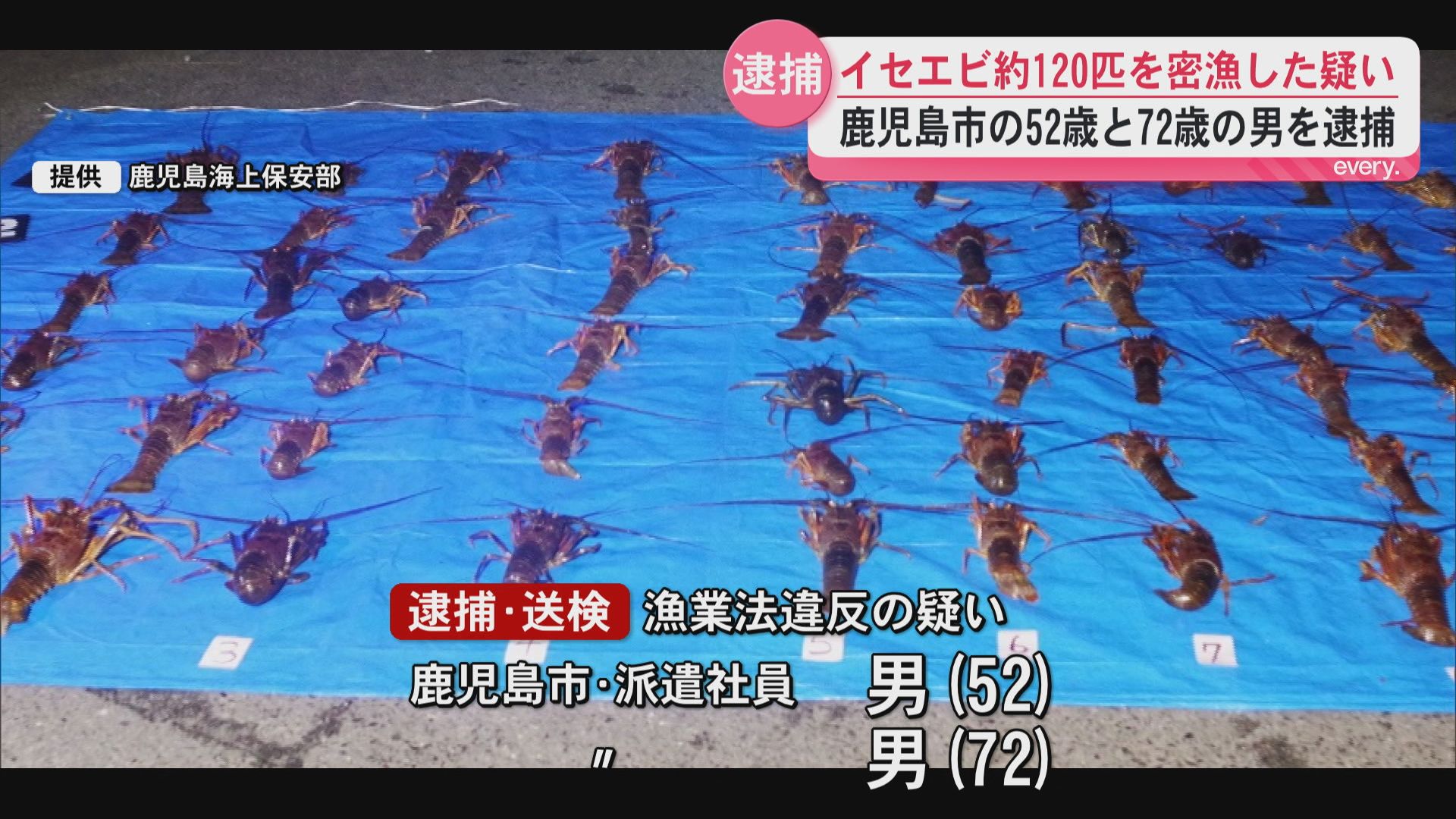 2人でイセエビ計123匹を密漁か　男2人を漁業法違反の疑いで逮捕・送検　指宿港付近で約36キロ　