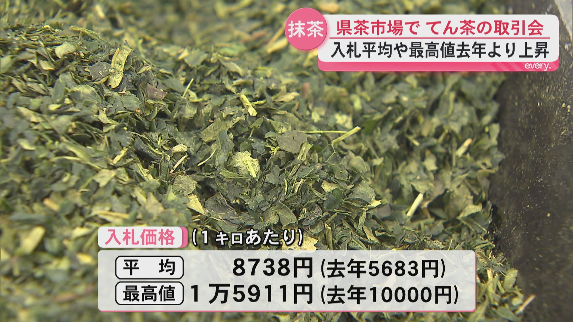 県茶市場で抹茶の原料「てん茶」取引会　世界的な需要高まる中　平均取引価格は前年比約1.5倍