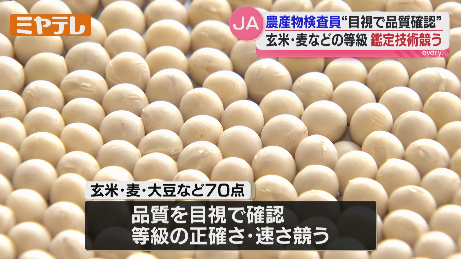 目視”で玄米や麦の等級鑑定…農協の農産物検査員が技術競う（宮城