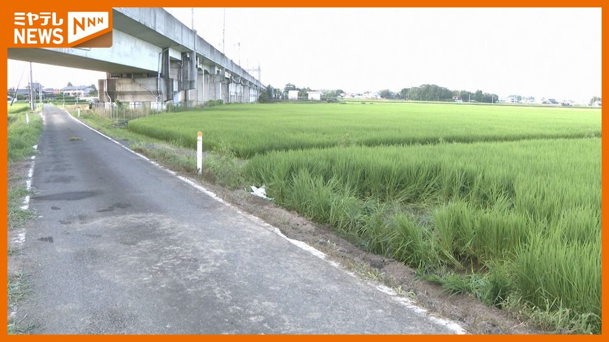 【続報】トラクターが田んぼに横転　男性(79)が死亡＜宮城・栗原市＞