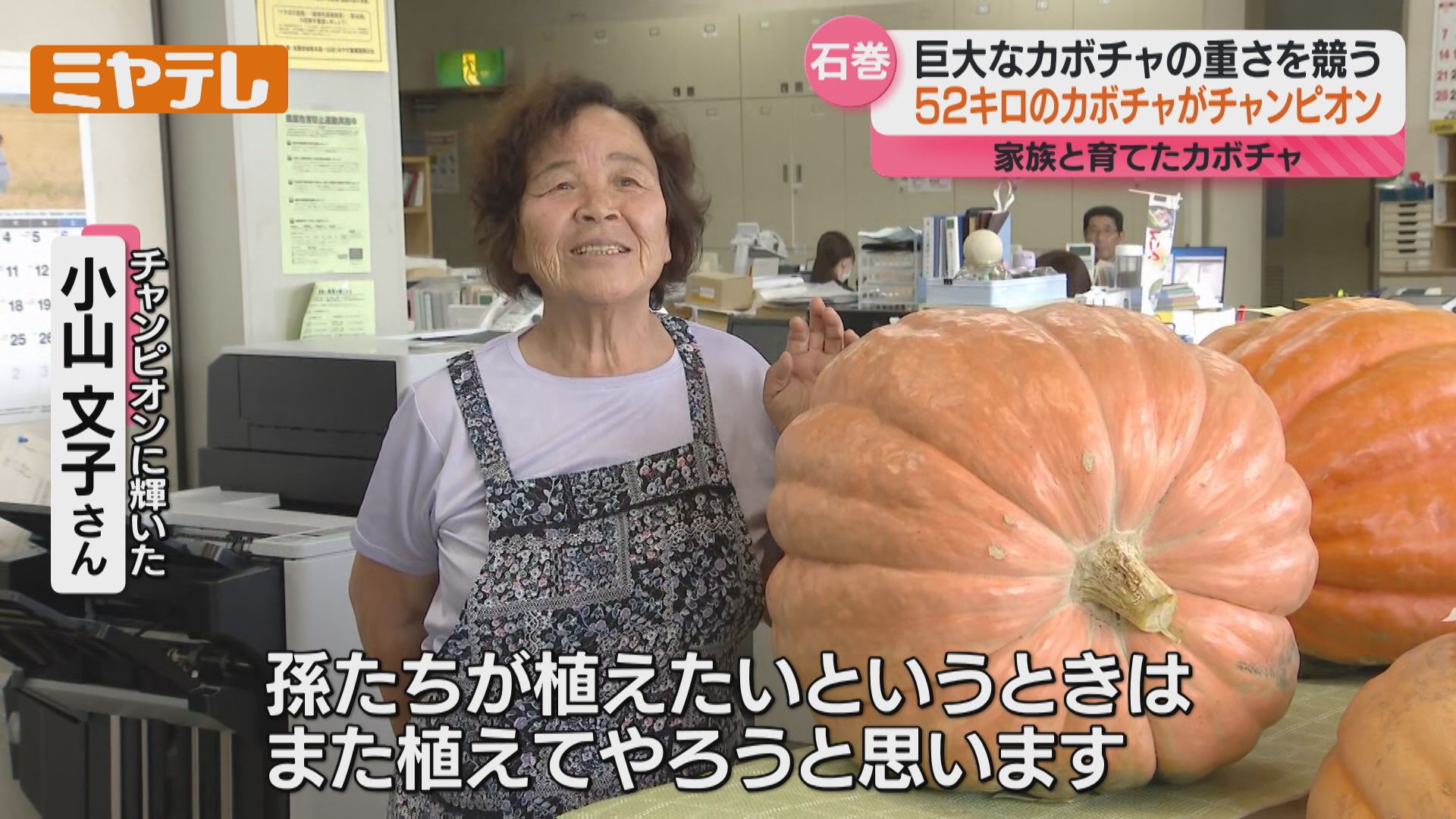 金のかぼちゃ パチスロ新機種情報】 パチスロ金のかぼちゃ | 株式会社ゼンリン