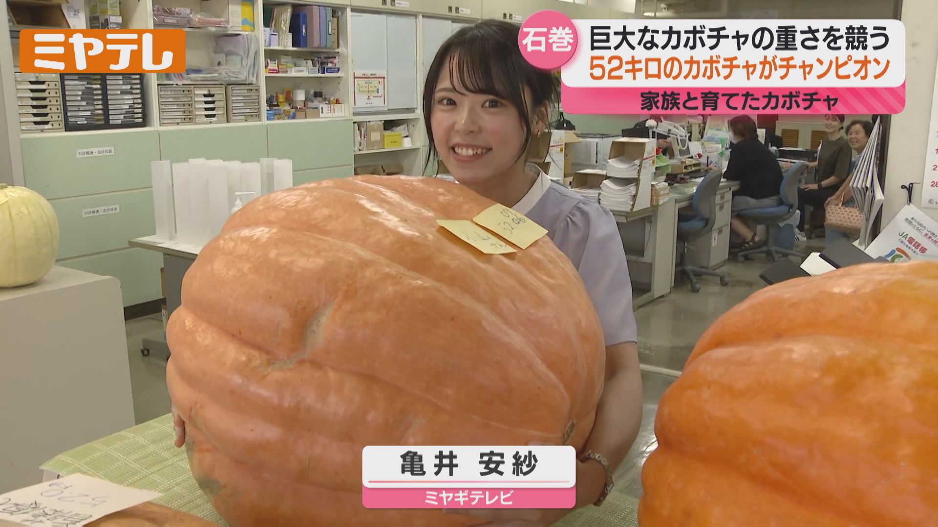 びくともしません…」重さ52キロ超え！“ジャンボかぼちゃ”の