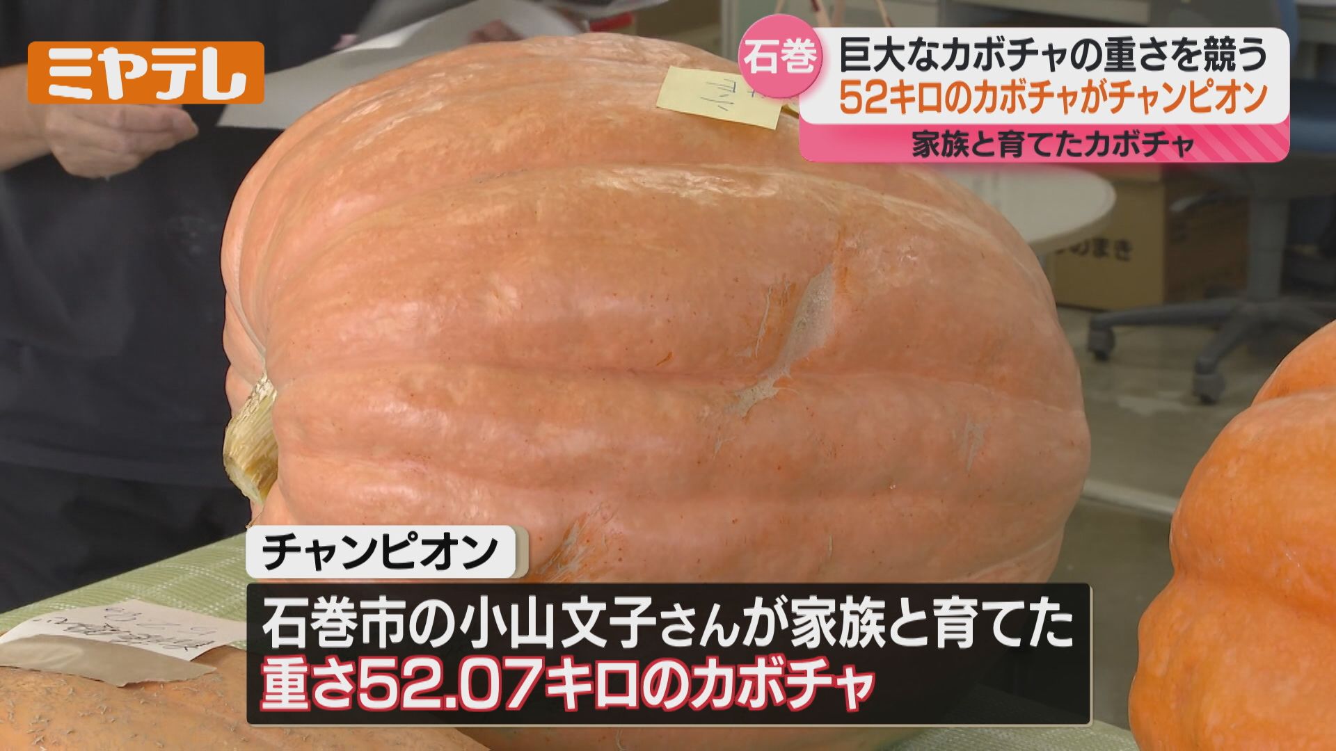 びくともしません…」重さ52キロ超え！“ジャンボかぼちゃ”の