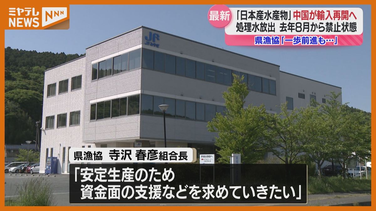 宮城県漁協「禁輸撤廃に向けた取り組みとともに安定生産のため資金面の支援など求めたい」日本産水産物　中国輸入再開へ最終調整へ