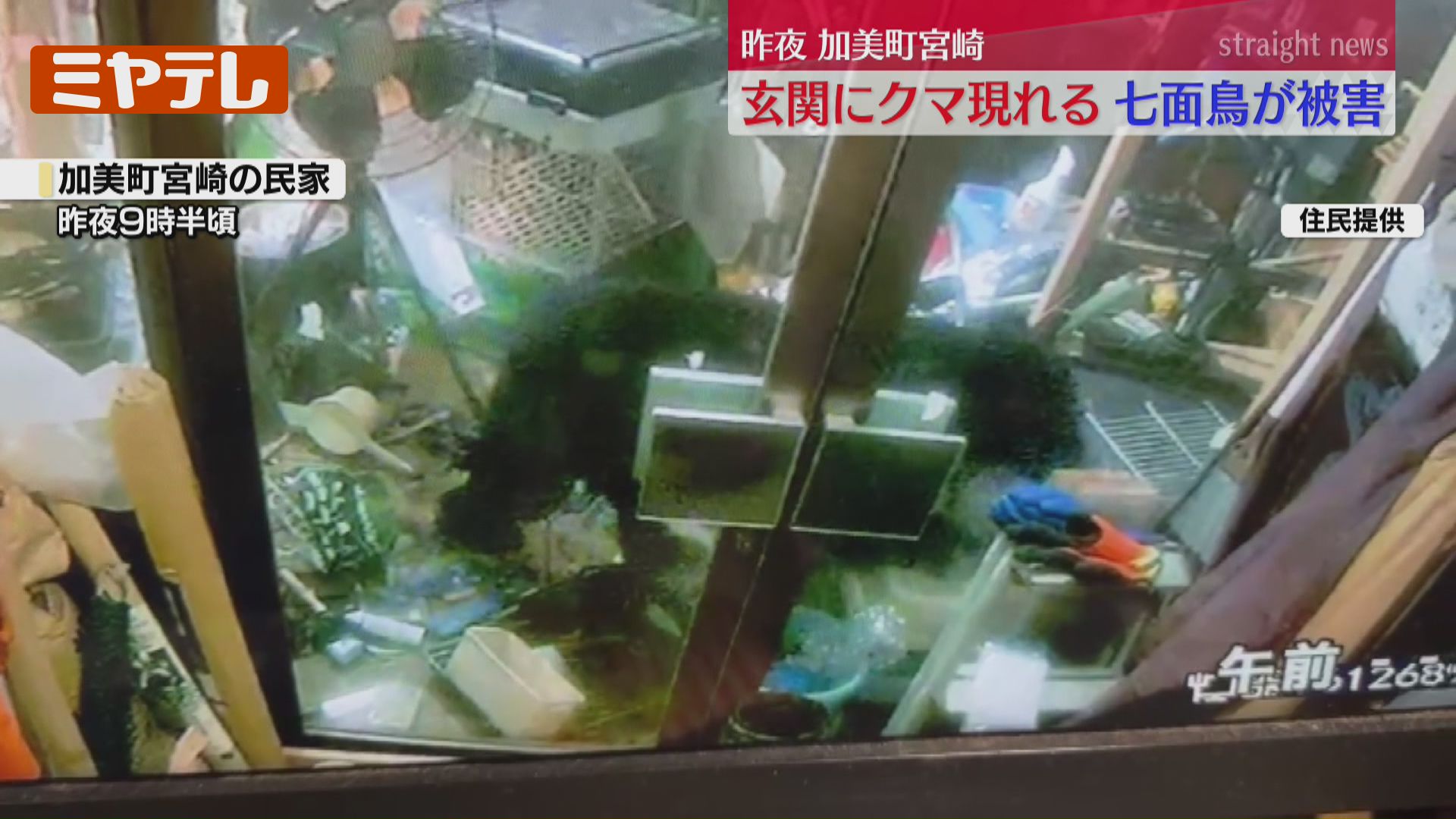 防犯カメラ映像あり】クマが民家に侵入「もしカメラなくてドア開けて