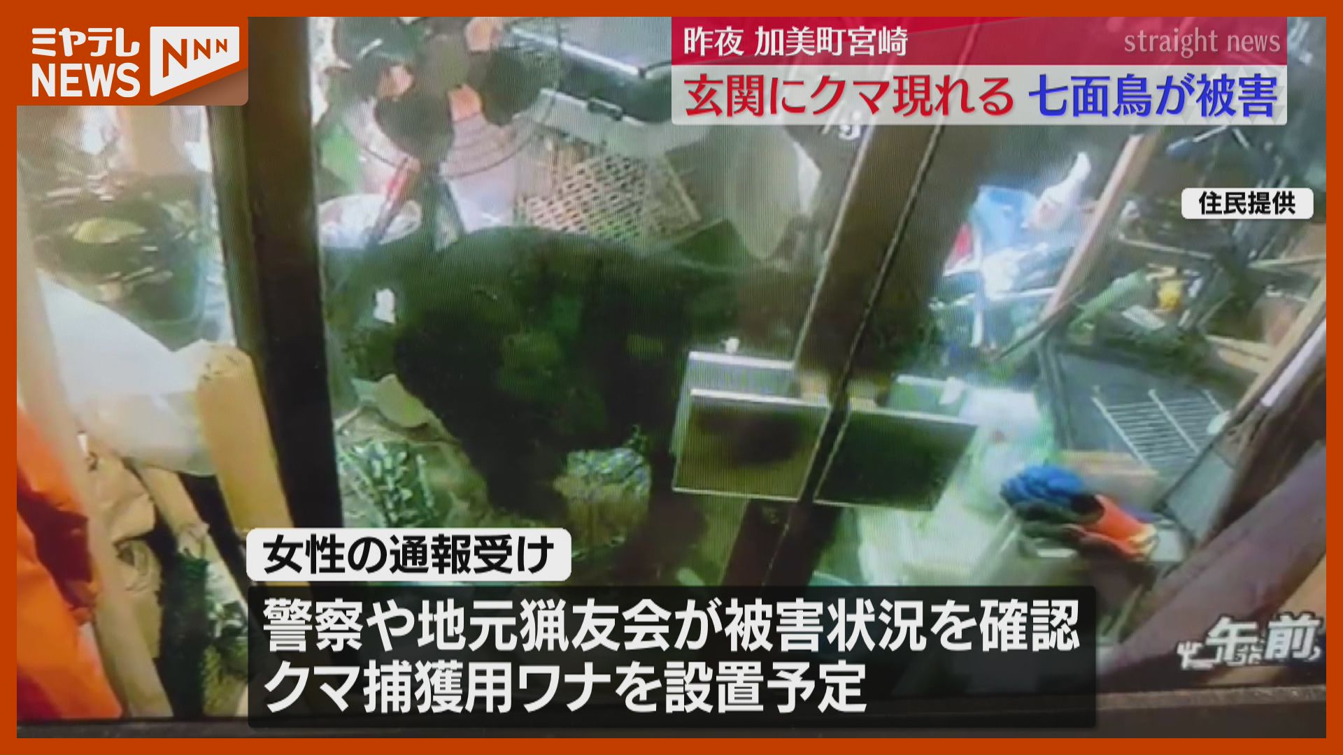 防犯カメラ映像あり】クマが民家に侵入「もしカメラなくてドア開けて
