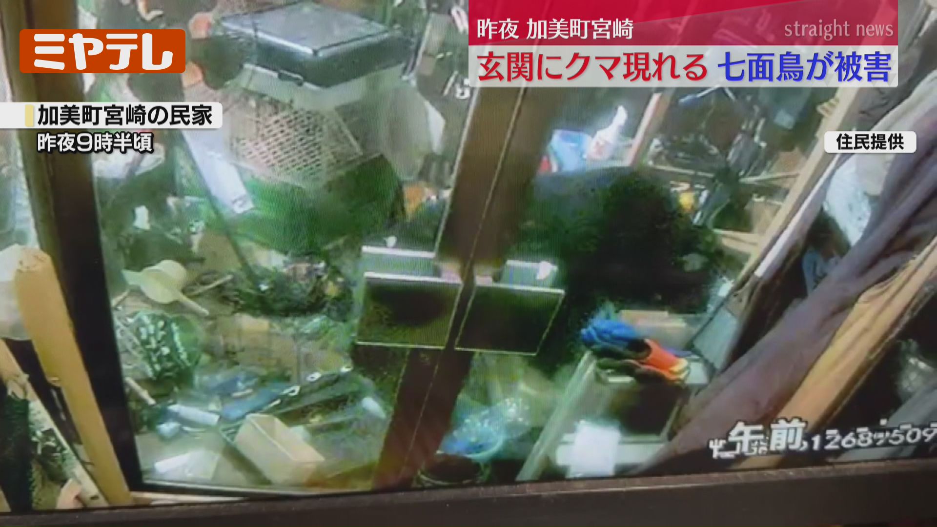 防犯カメラ映像あり】クマが民家に侵入「もしカメラなくてドア開けて
