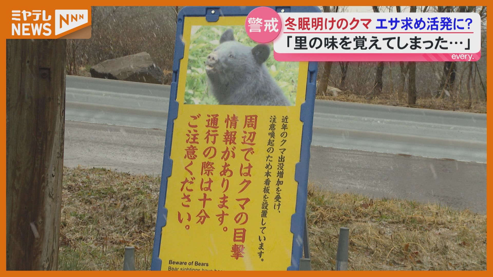里の味覚えた？『冬眠明け』のクマに注意！宮城（2026年4月4日掲載