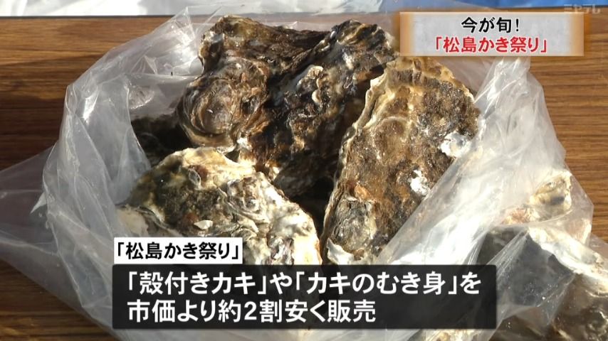 【小ぶりな「カキ」は旨味凝縮！】毎年恒例の「かき祭り」（宮城・松島町）