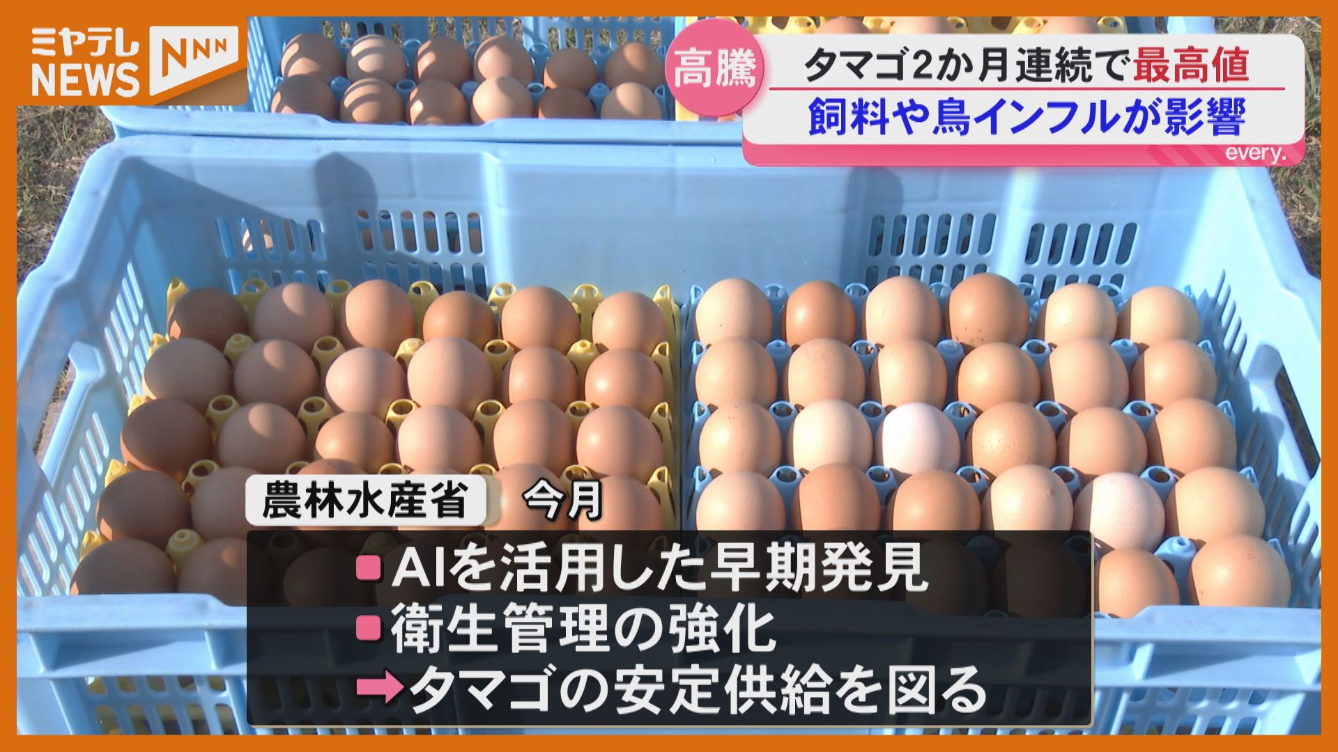 タカミ　お値下げしました✨ 購入日不明のため格安でお譲りします！ 返品不可です！ タマゴ価格が