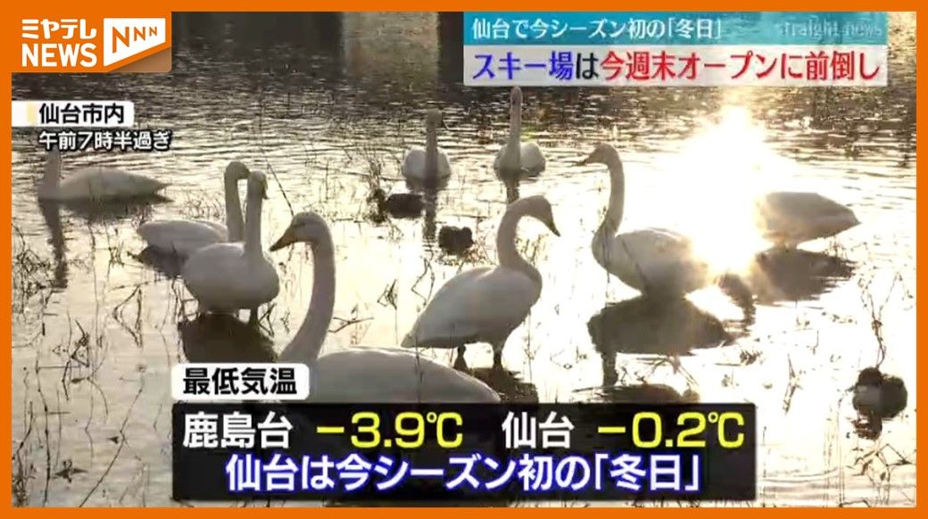 ＜「仙台」で今シーズン初の『冬日』＞12日朝の宮城県内冷え込む　仙台市のスキー場は急遽”オープン前倒し”