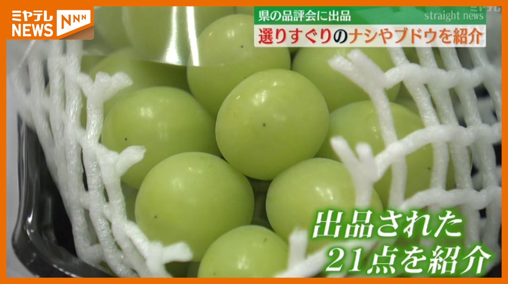 選りすぐりのナシにブドウ＞品評会に出品された宮城の果物紹介 天候に