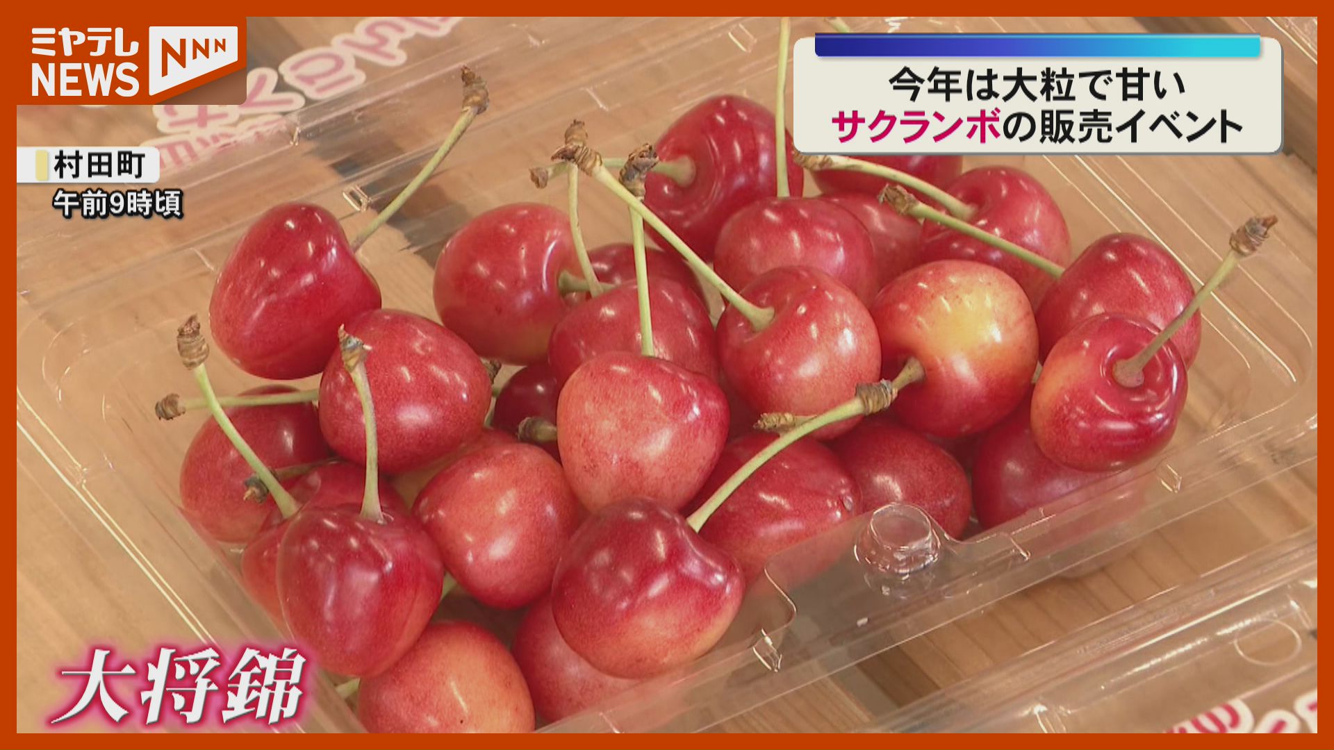 市価より2割安】道の駅村田「たかはたマルシェ」でサクランボ販売