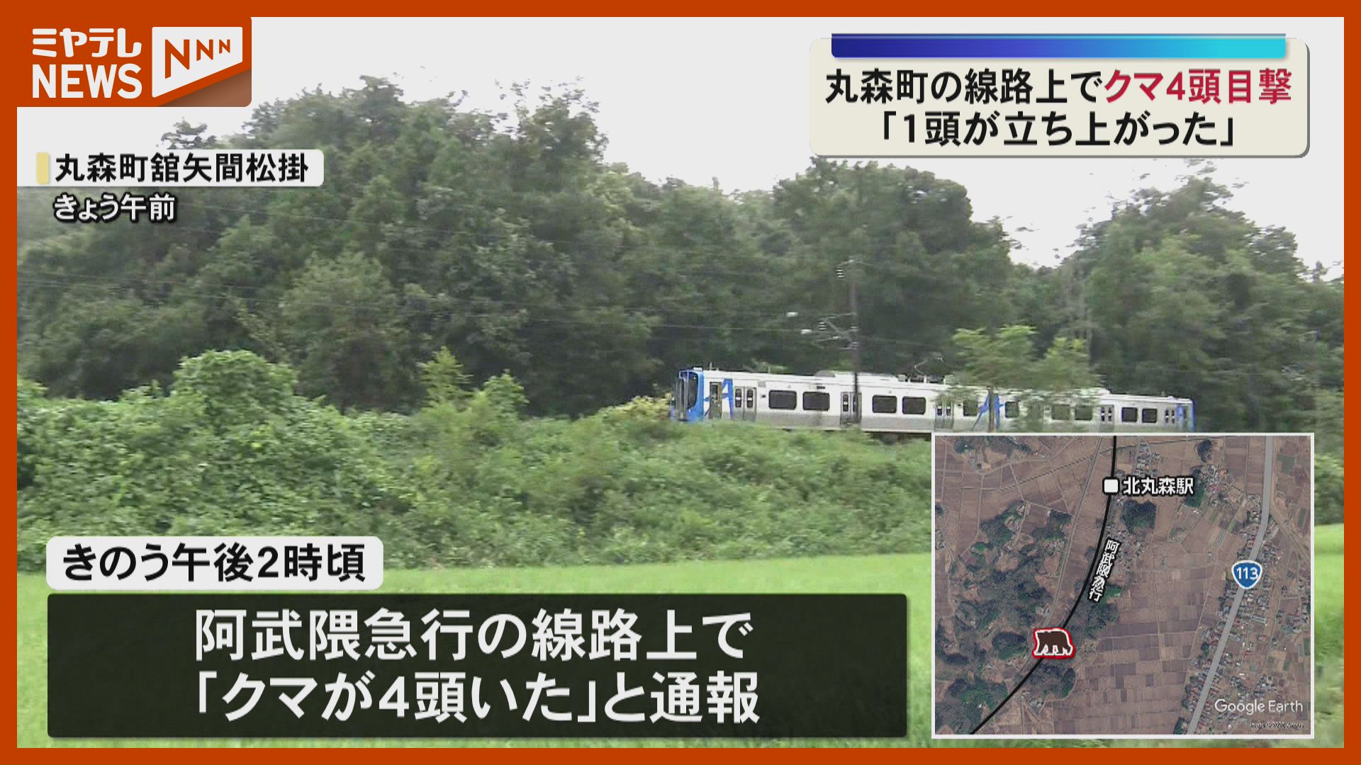 1頭が立ち上がった」丸森町でクマ4頭目撃〈宮城〉（2026年8月11日掲載