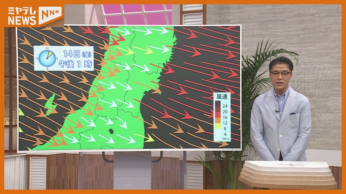 【気象予報士が解説】急発達した低気圧がもたらした“暴風”　14日も注意・警戒を（宮城）