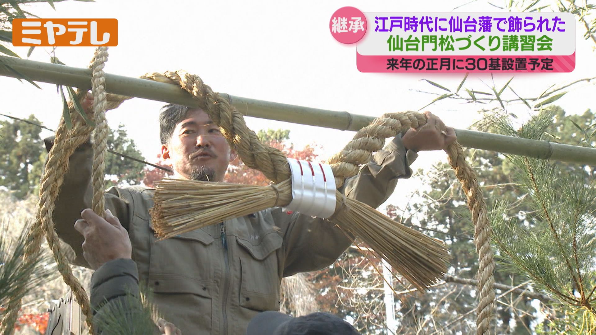 他にない独特な門松」江戸時代に仙台藩で飾られていた『仙台門松』造り