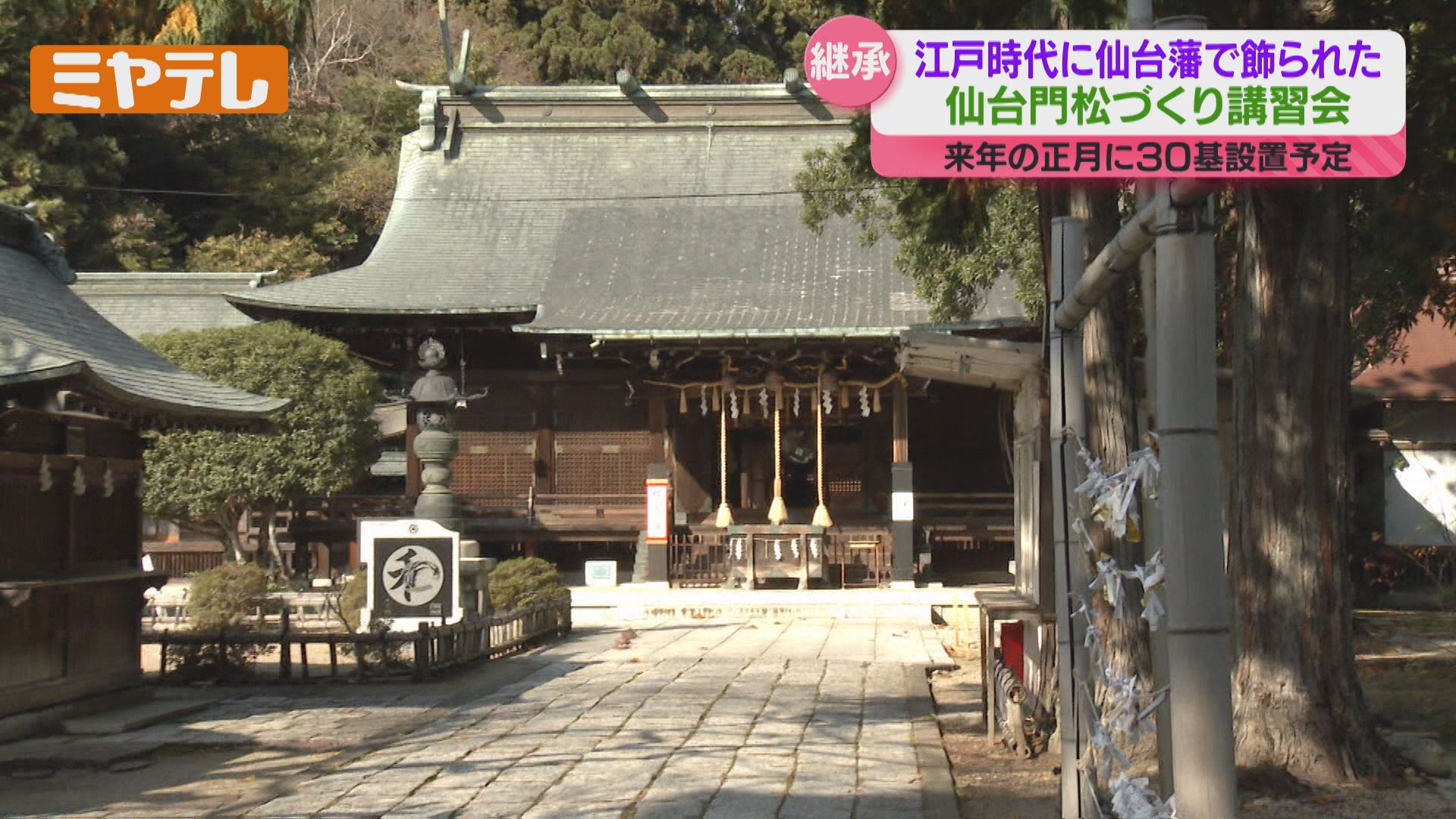 他にない独特な門松」江戸時代に仙台藩で飾られていた『仙台門松』造り