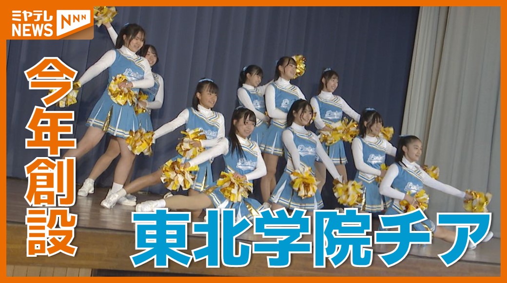 特集】37年ぶり全国大会！高校サッカー東北学院 結成半年チア