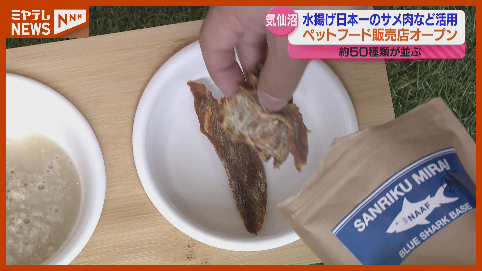 低カロリー高タンパク、サメの水揚げ日本一の気仙沼…サメ肉活用した