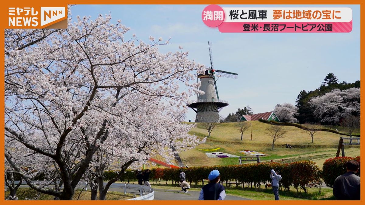 【船から見る<サクラ>】登米市「長沼」　風車とサクラが奏でる景色　「咲いているだけで気分晴れやか…」（宮城）