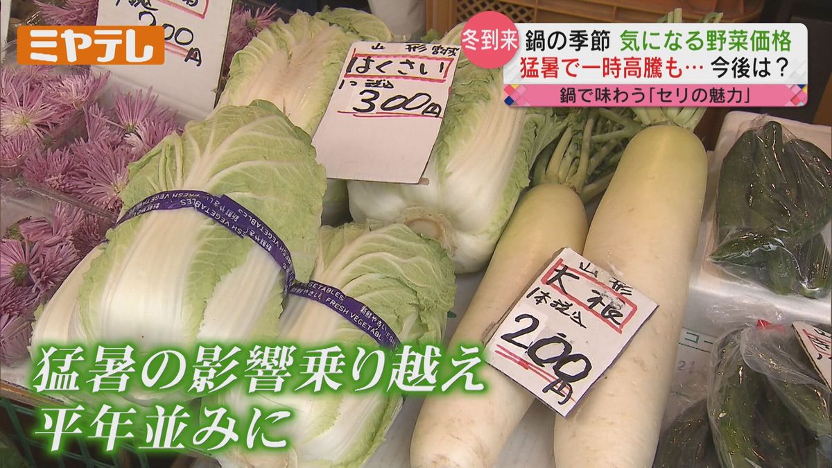 【鍋に欠かせない「野菜」の値段はどうなっている？】 ホウレンソウや小松菜など「葉物野菜」が今お買い得　猛暑の影響もあり一時野菜が高騰（宮城）