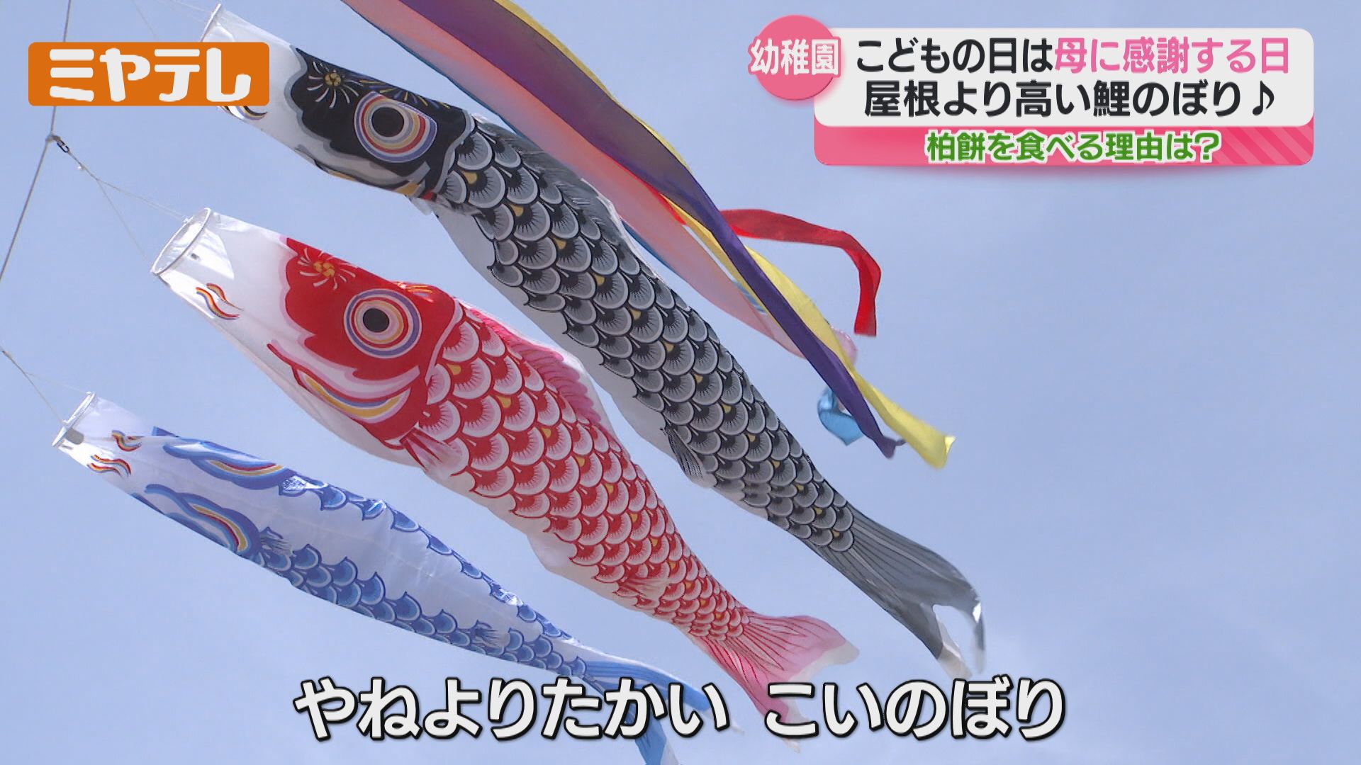 屋根より高いこいのぼり、『こどもの日』を前に…園児がこいのぼりの歌