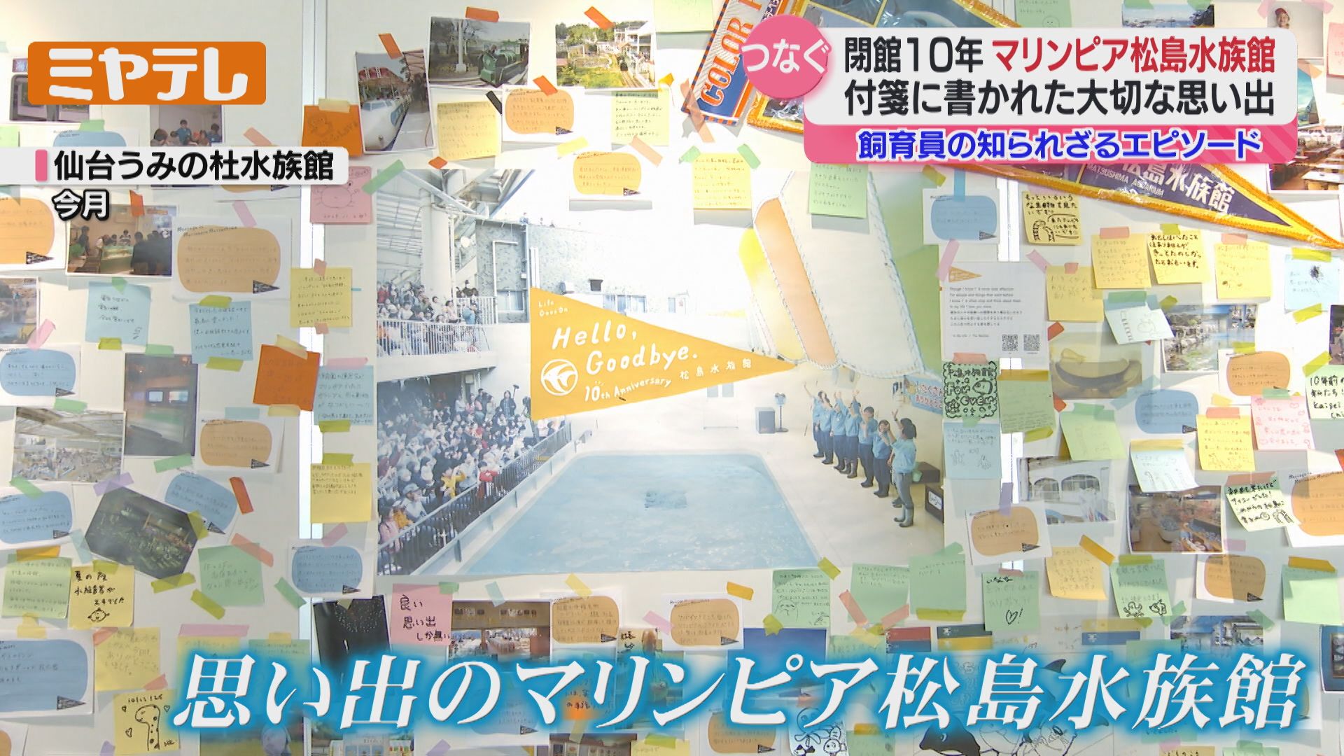 【貴重品】マリンピア松島水族館　メモリアル　グッズ　セット 貴重品】マリンピア松島水族館 メモリアル グッズ セット 貴重品