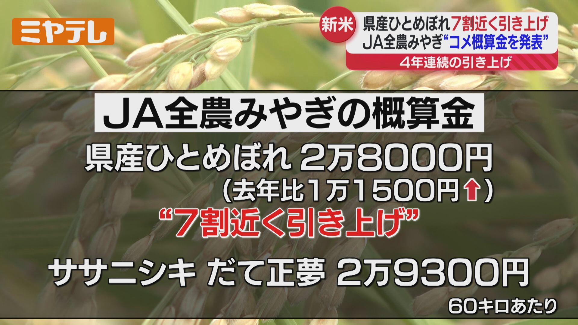 AnnaAzukicahan 宮城県産ひとめぼれ令和６年収穫玄米　60キロ AnnaAzukicahan 宮城県産ひとめぼれ令和6年収穫玄米 60キロ