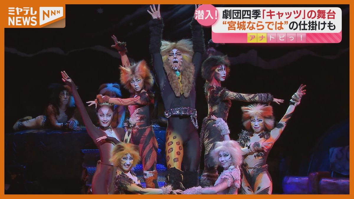 12年ぶりに仙台で上演ミュージカル『キャッツ』、過去2回の仙台公演で25万人動員…魅力に迫る