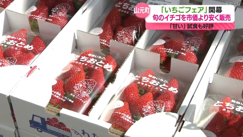 新鮮なイチゴがお買い得に!山元町で「いちごフェア」14日まで開催 新鮮なイチゴがお買い得に!山元町で「いちごフェア」14日まで開催