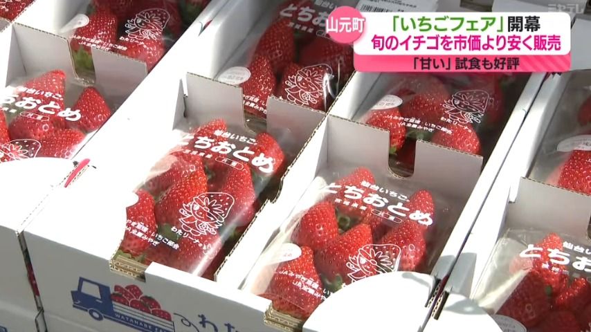 新鮮なイチゴがお買い得に！山元町で「いちごフェア」14日まで開催   宮城