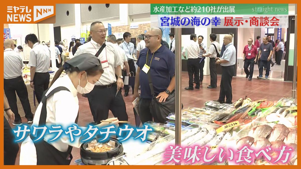 宮城から世界へ！県産の海の幸を外国にアピール「台湾の人は日本の海産物が好きなのでうれしい」