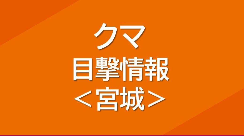 「川のほうに向かって行った」体長1ｍのクマ目撃　ＪＲ陸前落合駅ちかく＜仙台市青葉区＞