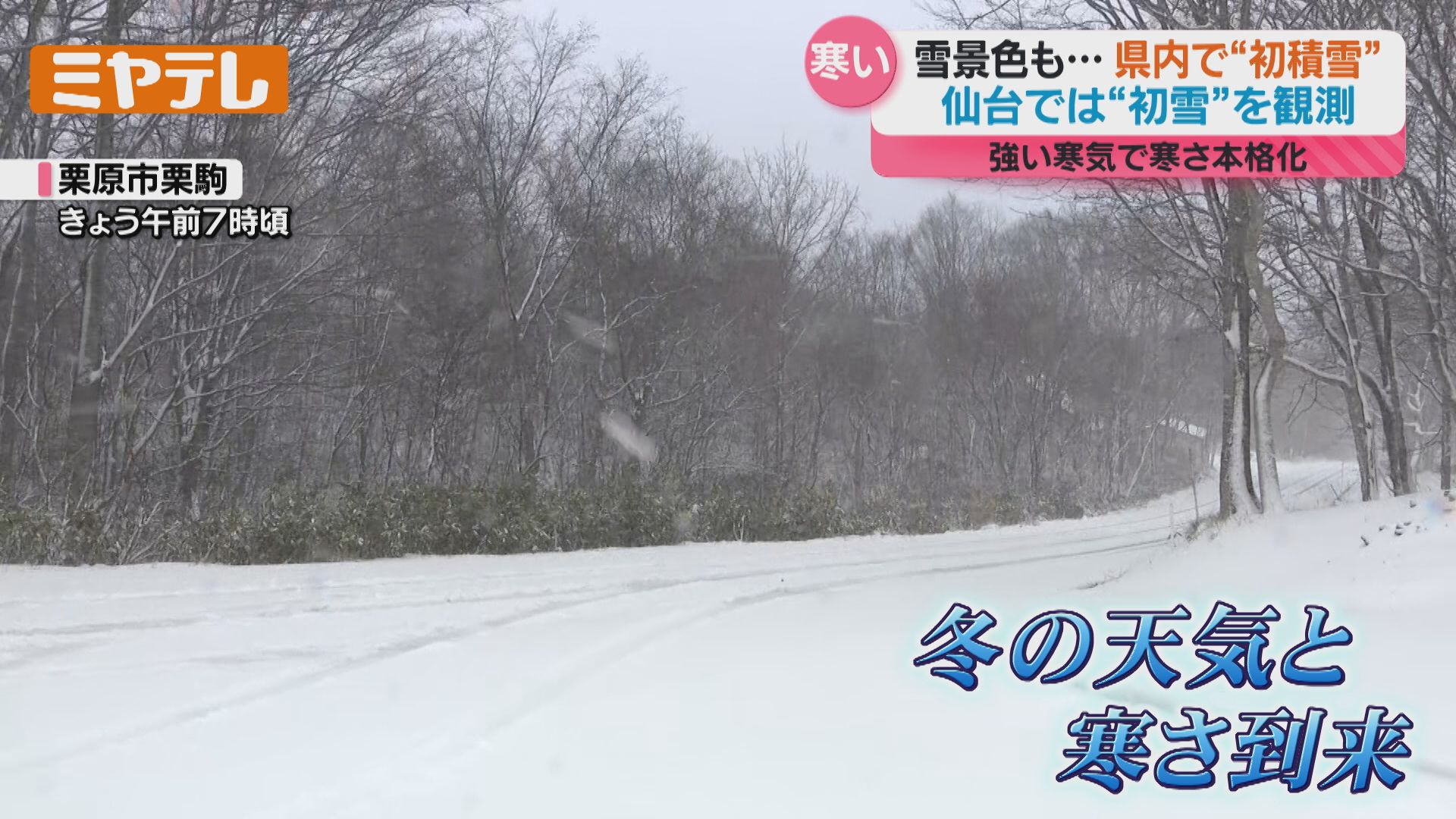 仙台」で『初雪』、宮城・西部山沿いでは雪が降り積もる…19日は“路面