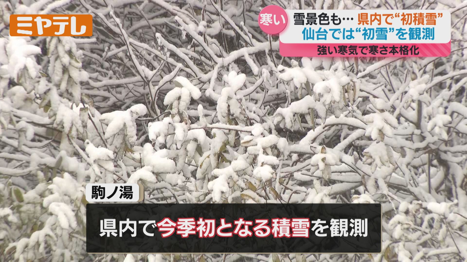 仙台」で『初雪』、宮城・西部山沿いでは雪が降り積もる…19日は“路面